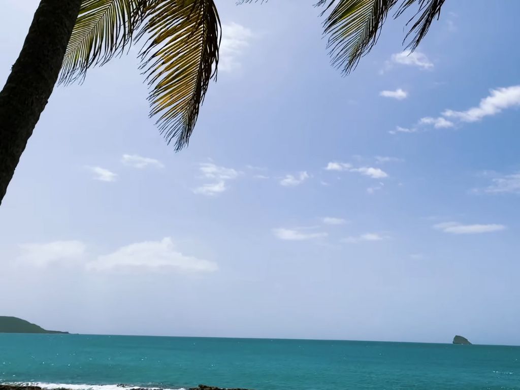 guadelopue beach view